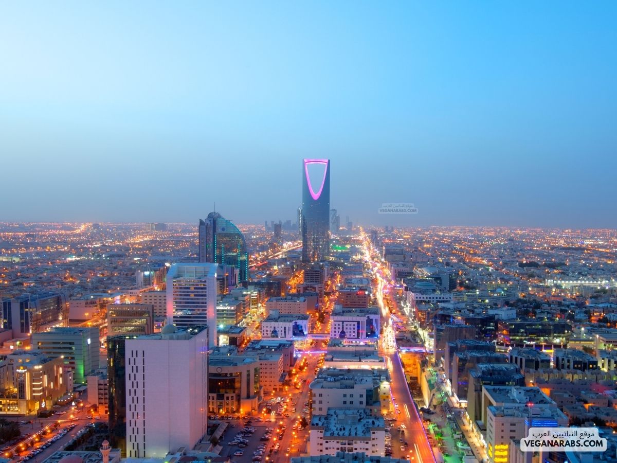 معلومات عن الرياض