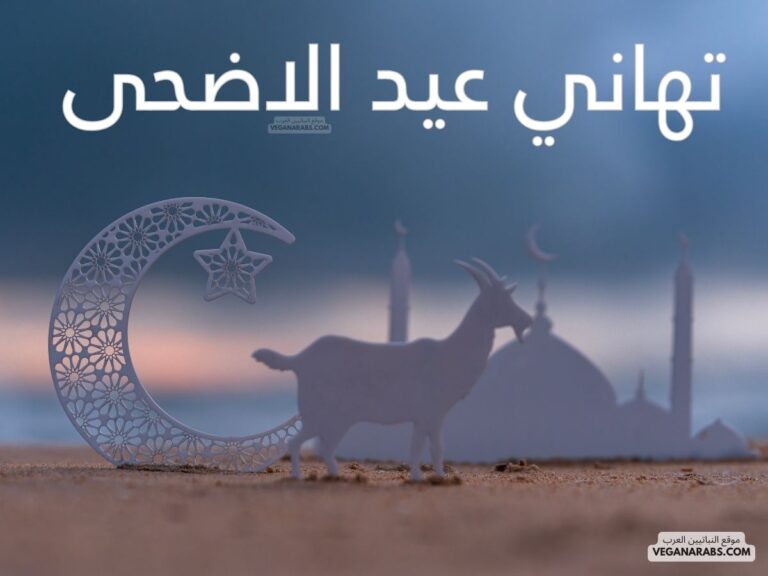 تهاني عيد الاضحى