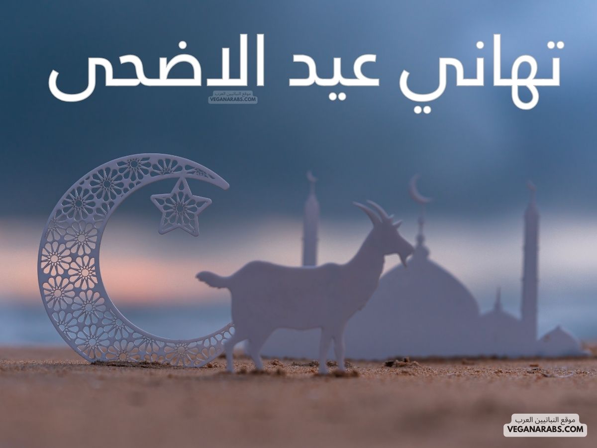تهاني عيد الاضحى