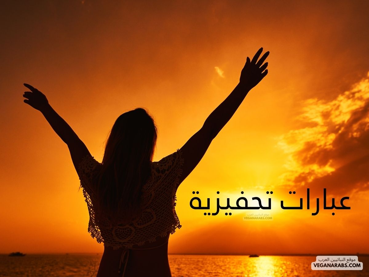 عبارات تحفيزية