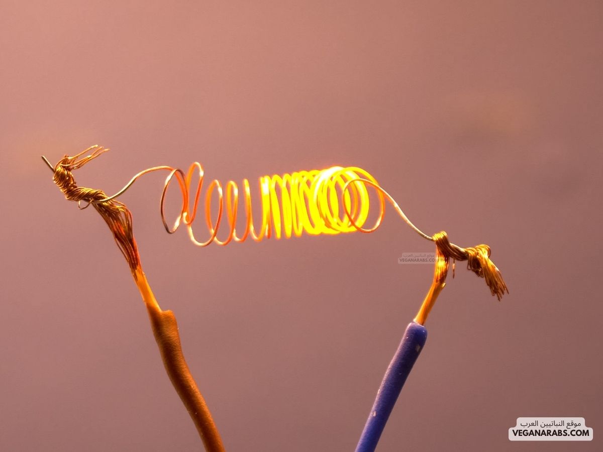 من تطبيقات القوة المؤثرة في سلك يسري فيه تيار كهربائي موضوع في مجال مغناطيسي