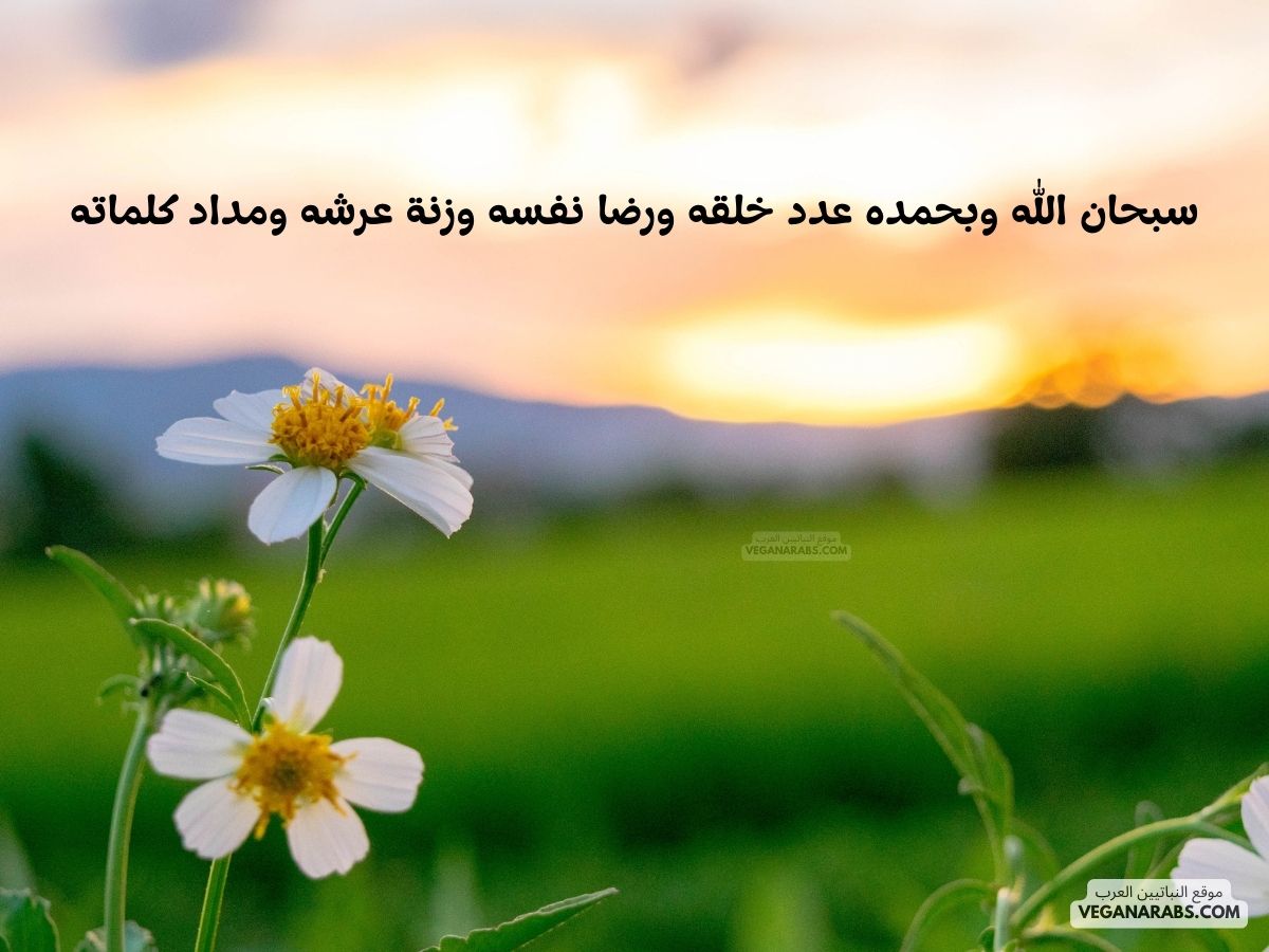 سبحان الله وبحمده عدد خلقه ورضا نفسه وزنة عرشه ومداد كلماته