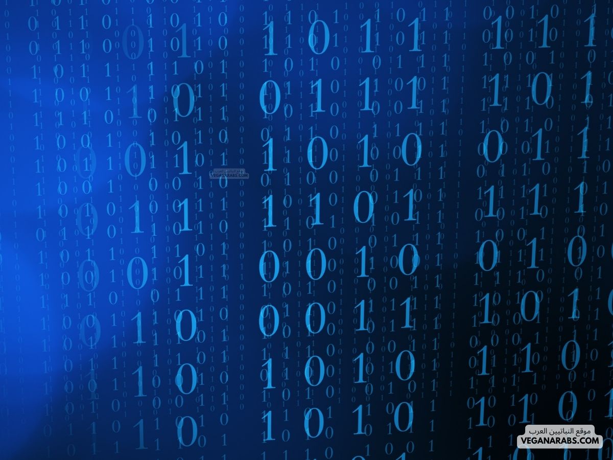 نظم معلومات