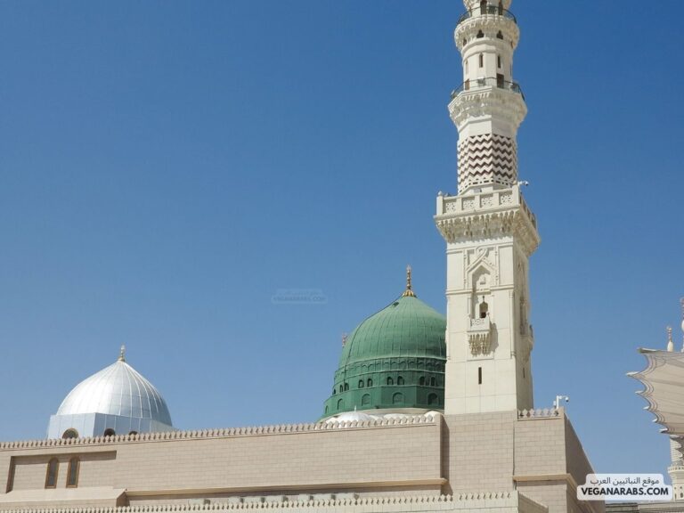 مواقيت صلاة مدينة منورة