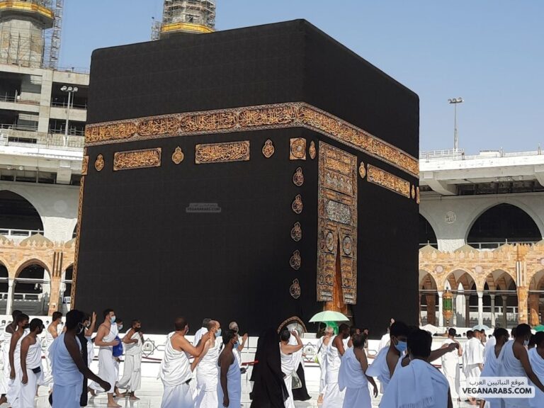 الحج اشهر معلومات