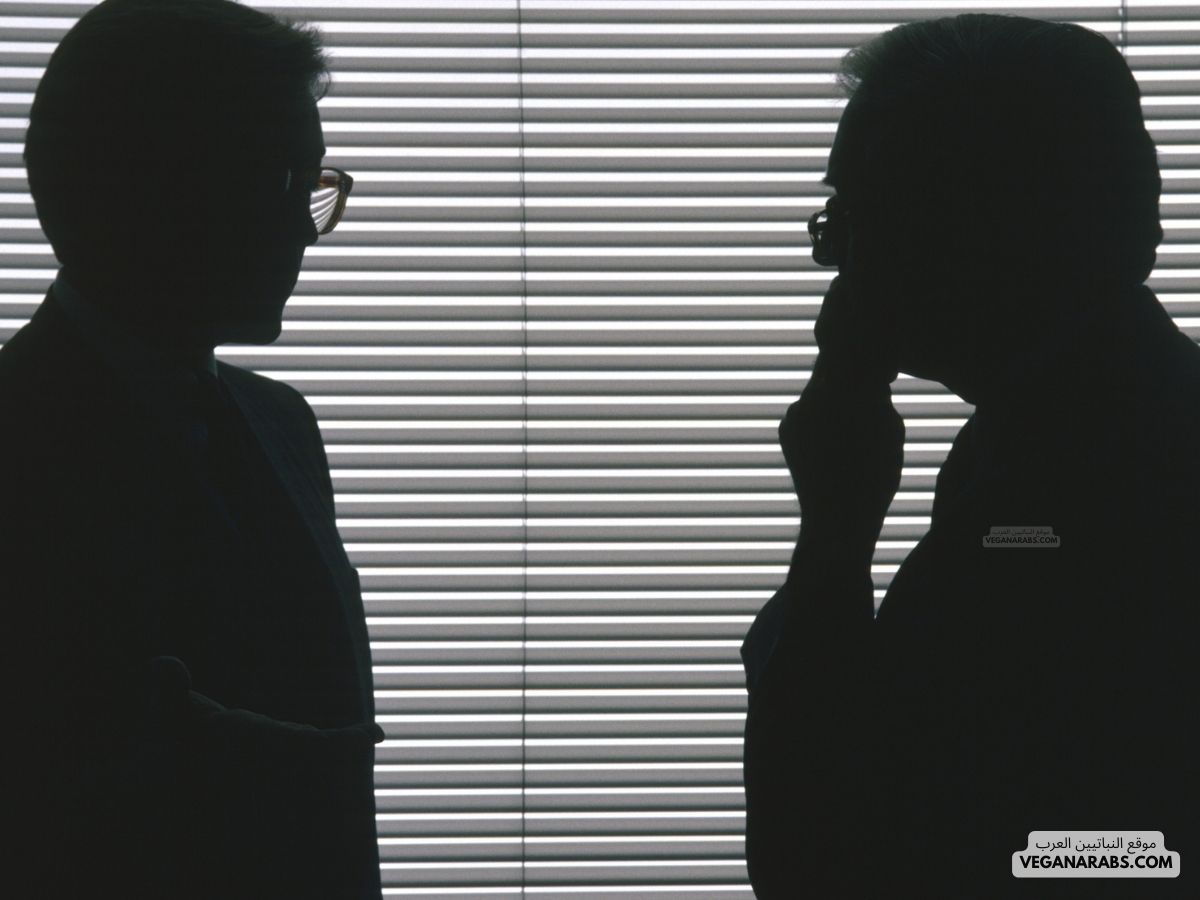 الجملة هي الوحدة الأساسية للكلام التي تعبر عن فكرة كاملة.