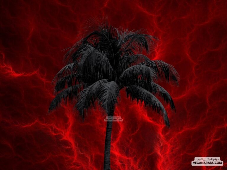 شجرة الزقوم