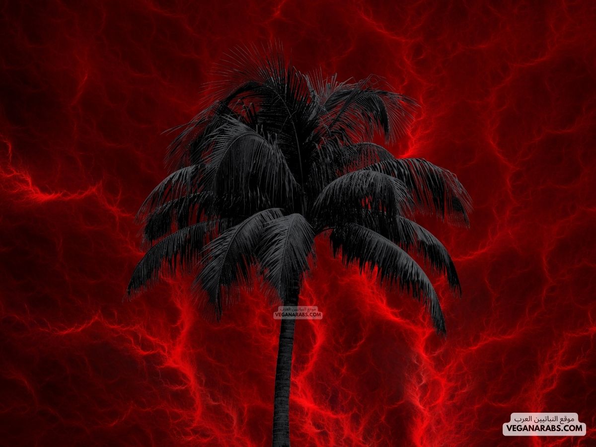 شجرة الزقوم