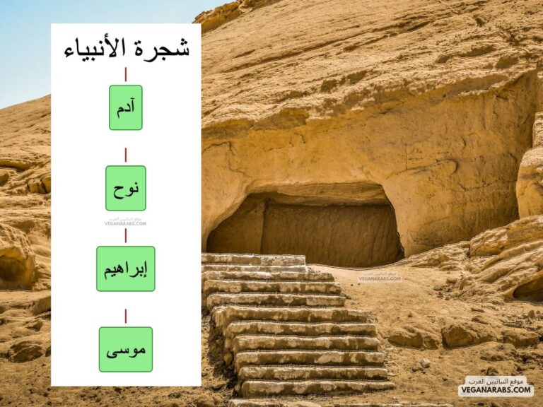 شجرة الانبياء