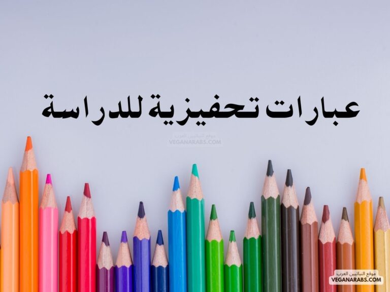 عبارات تحفيزية للدراسة