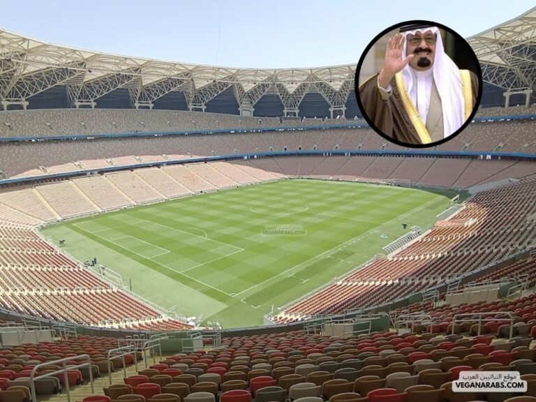 ملعب الملك عبد الله الدولي