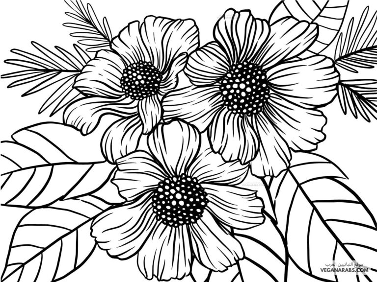 اوراق تلوين للبنات