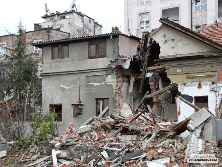 معلومات تحقيق الأمن الشخصي أثناء الزلازل