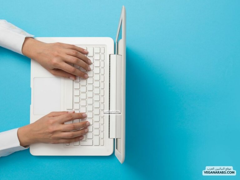 طريقة تغيير لغة اللاب توب ويندوز 7 How to Change the Language on a Windows 7 Laptop