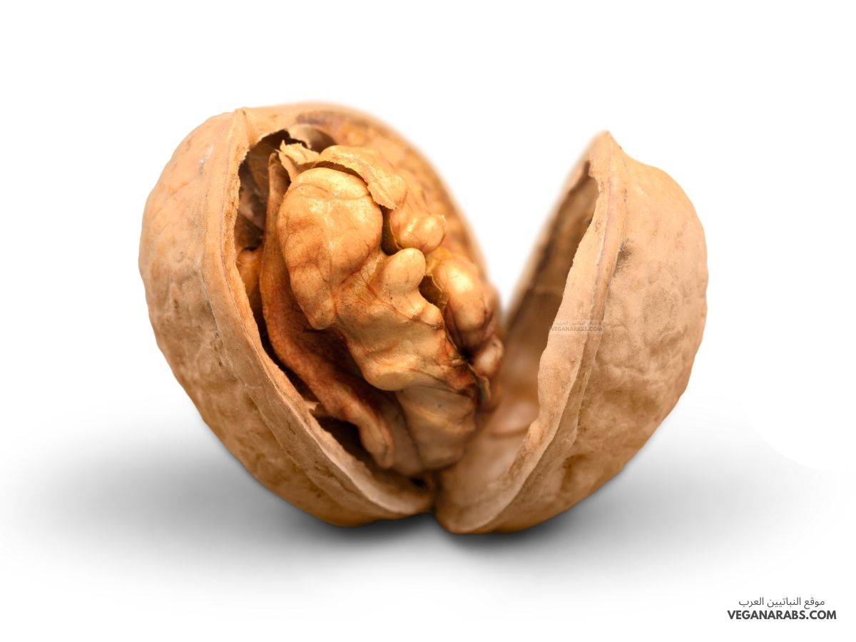 عين جمل
