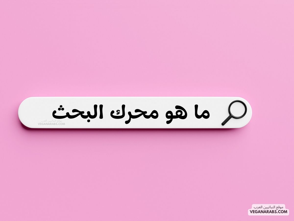  ما هو محرك البحث