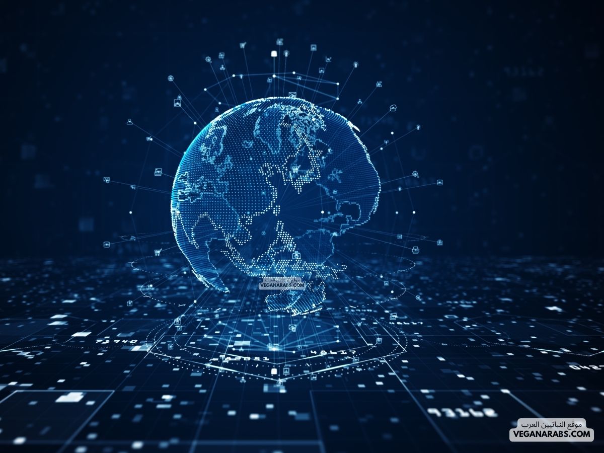 مفاهيم قواعد البيانات Database Concepts