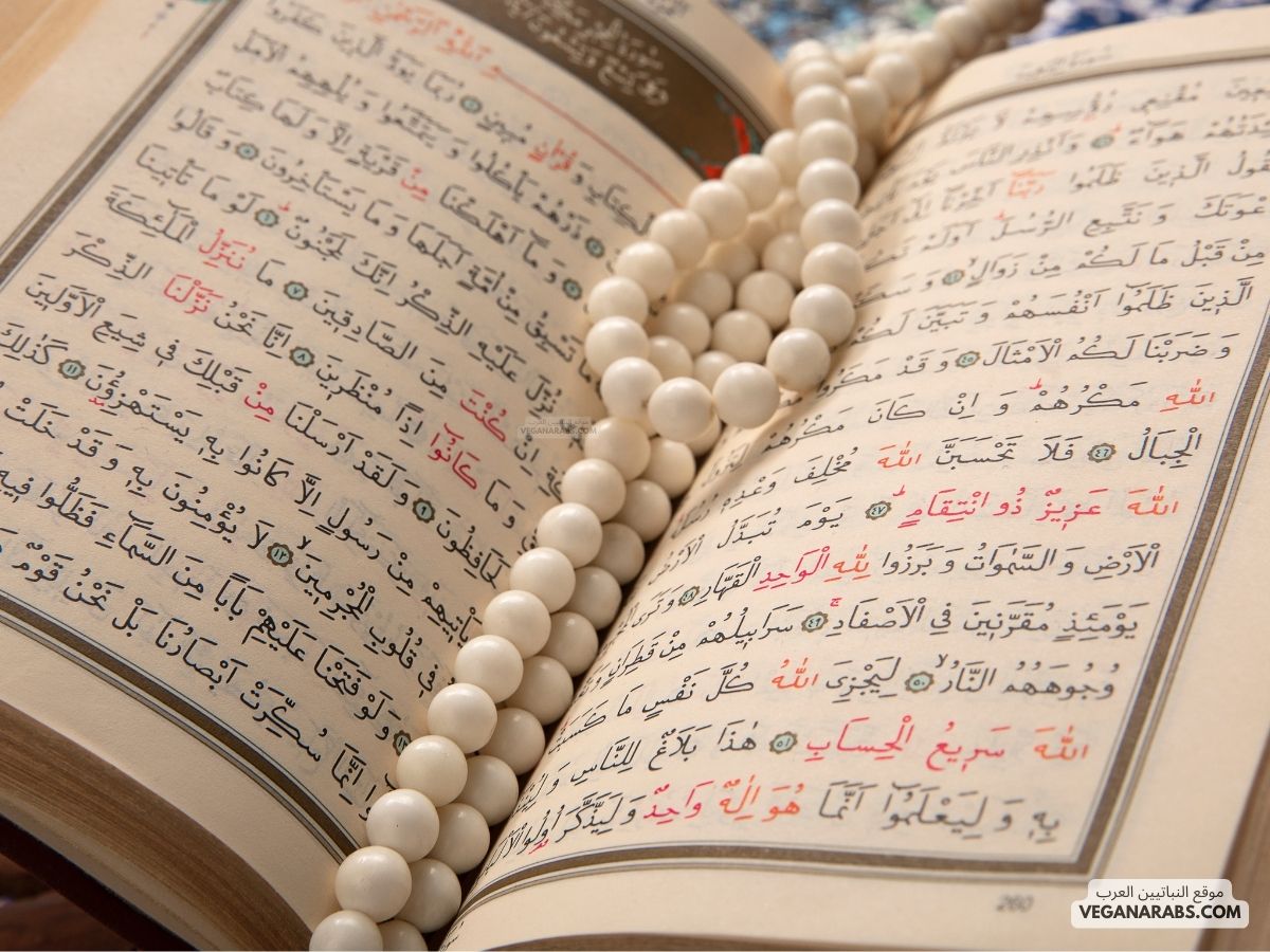 من احكام التجويد