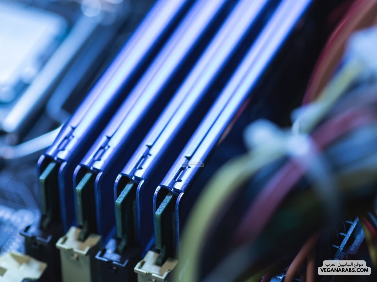 ذاكرة التخزين المؤقت