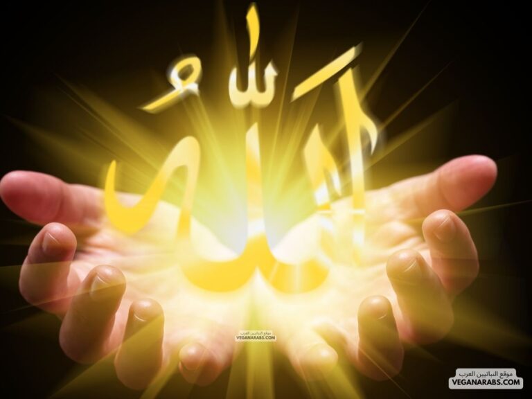 من أثر أسماء الله وصفاته في حياتنا عمل الصالحات والبعد عن السيئات