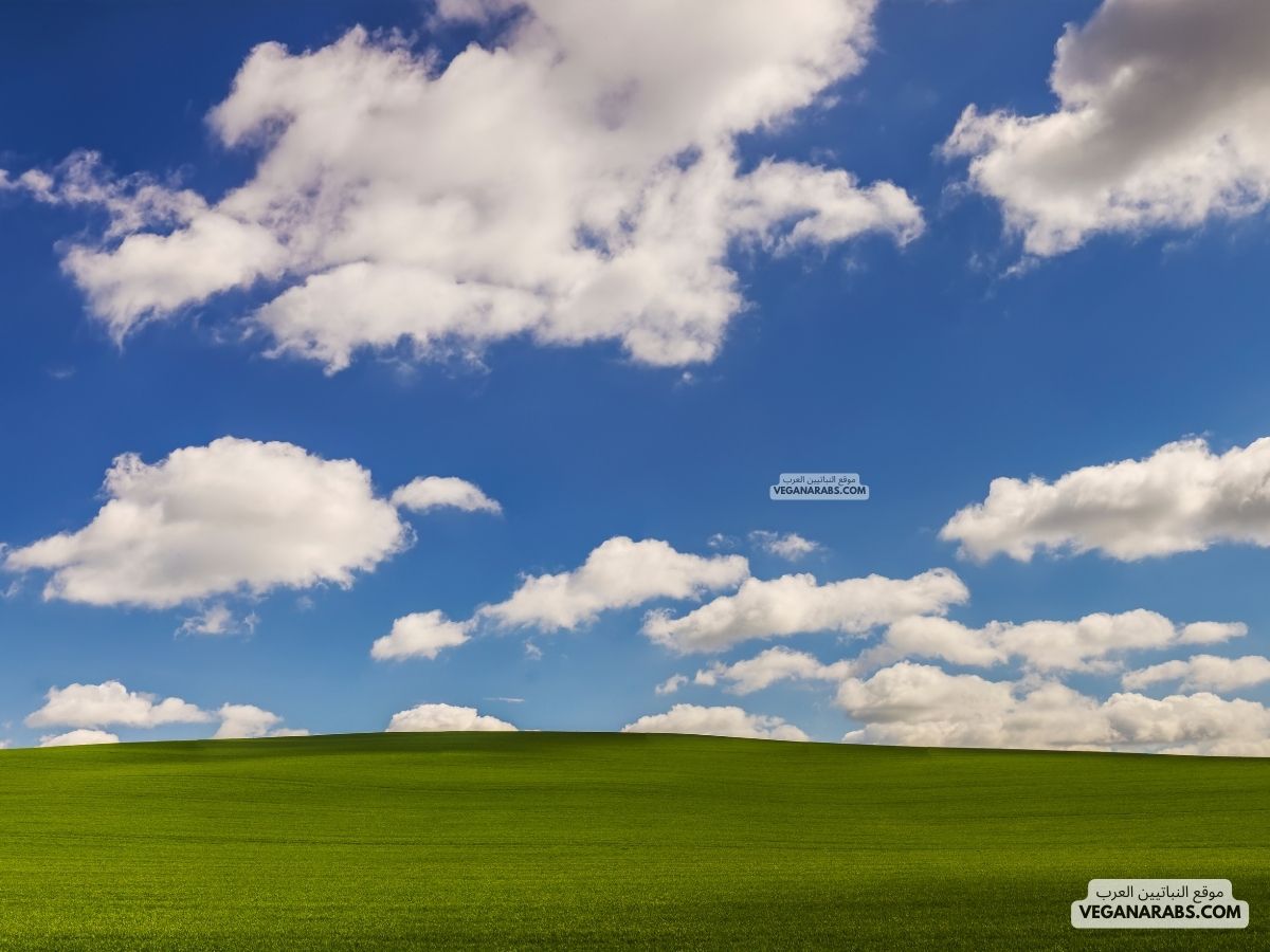  تعريف ويندوز XP