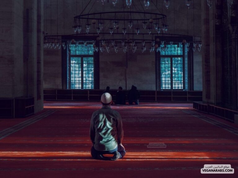 الفرق بين الركن والشرط أن الأركان تكون أثناء تأدية الصلاة ,أما الشروط واجب توفرها قبل الصلاة.