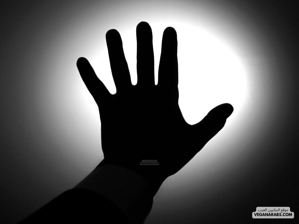 دعاء لابي المتوفي من القرآن