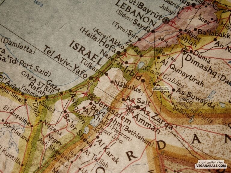خريطة فلسطين