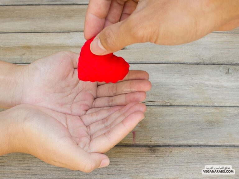 ما هي الصدقة الجارية