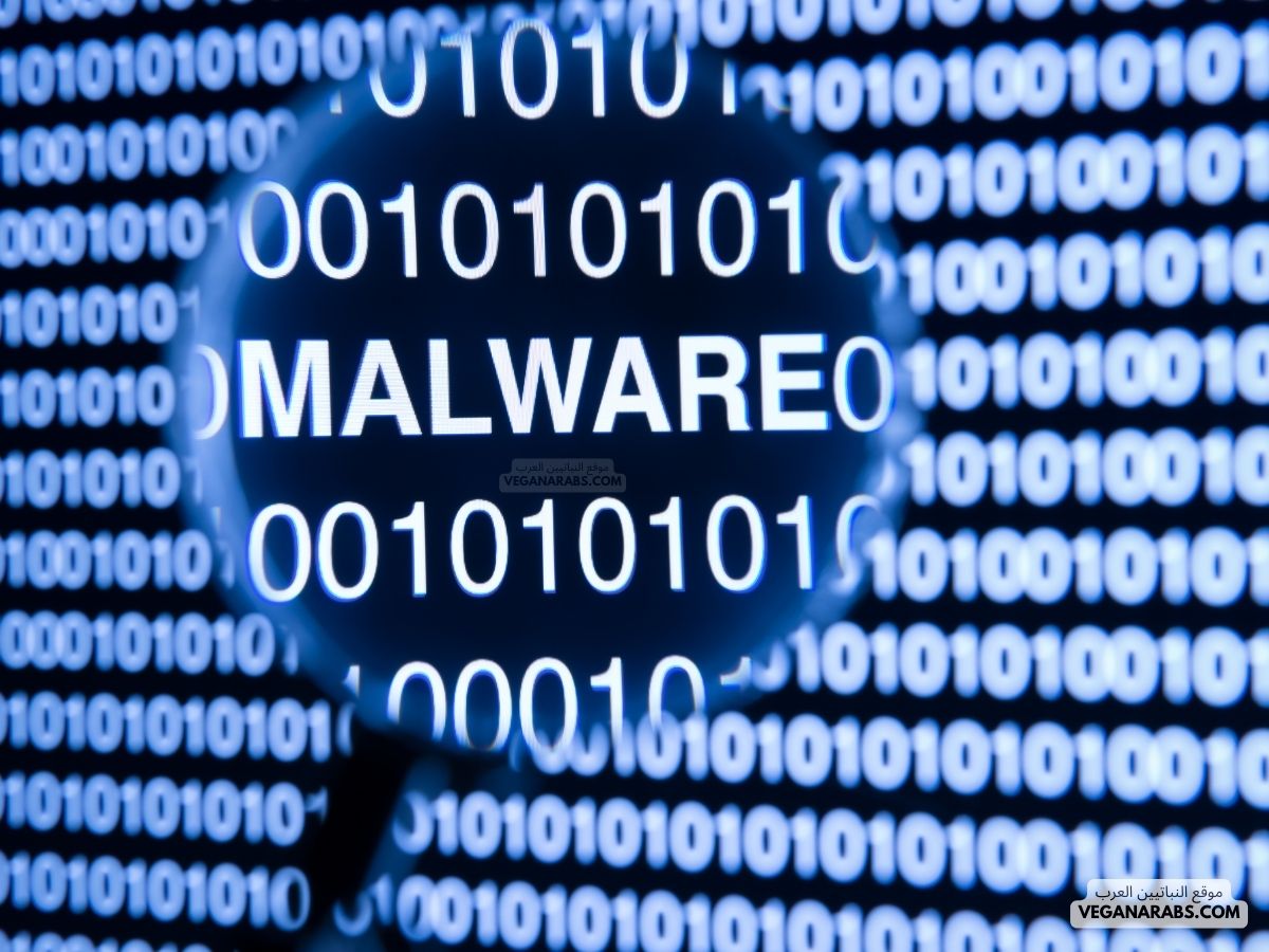 بحث عن فيروسات الحاسب