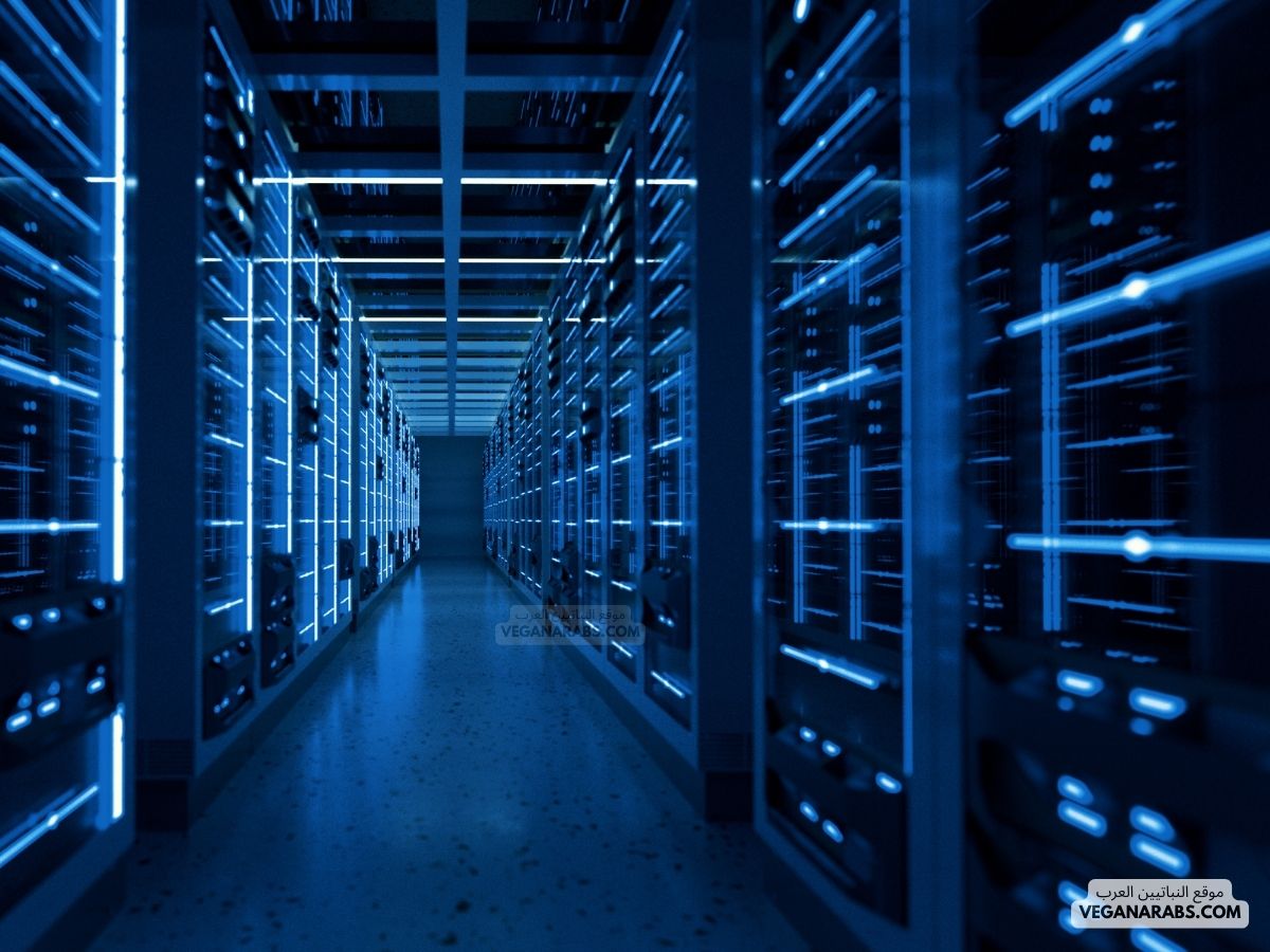  كيفية إنشاء قاعدة بيانات