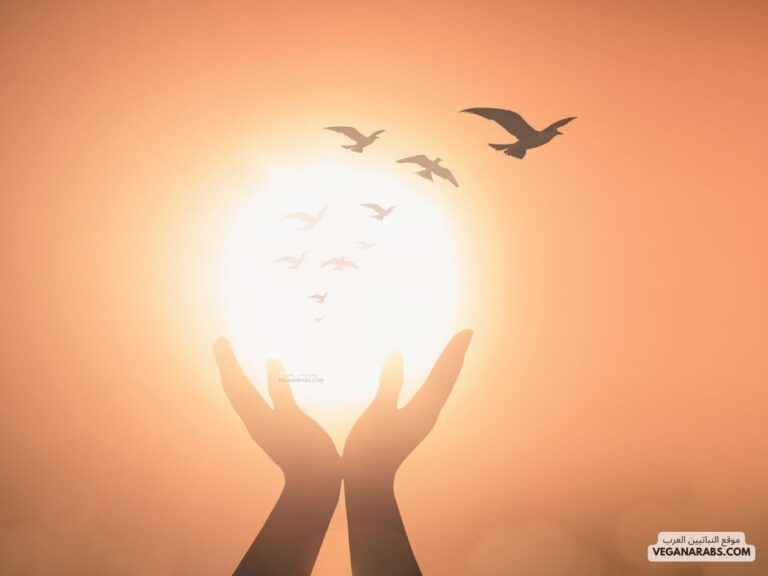 لماذا خص الله المؤمنين بالنداء