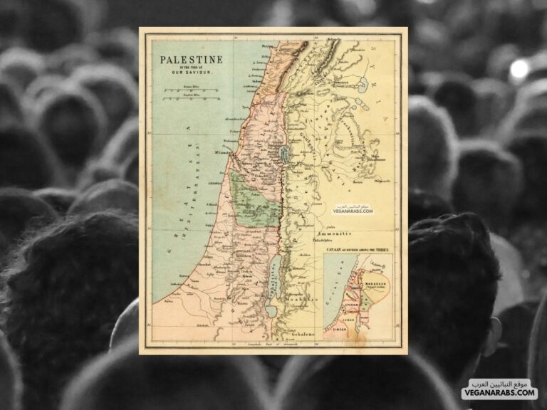 كم عدد سكان فلسطين