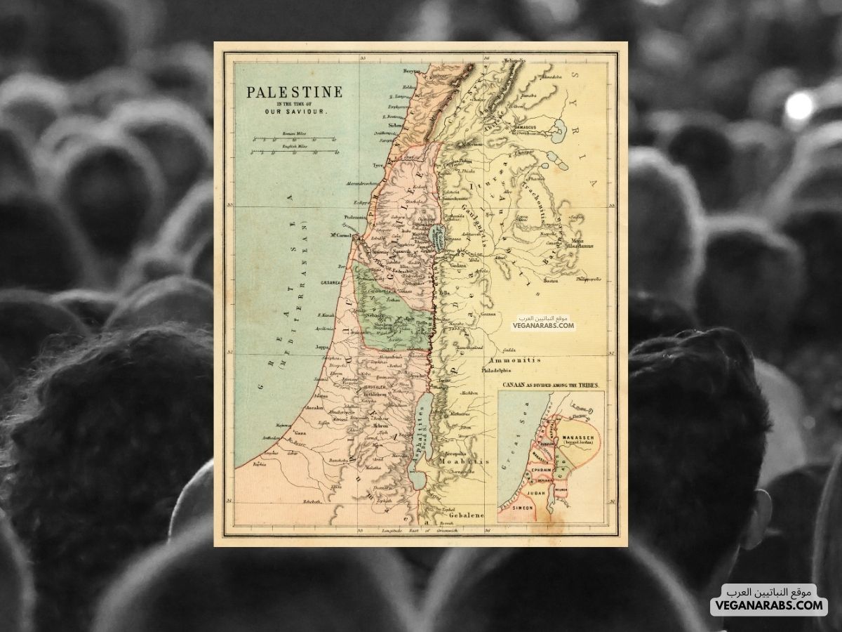 كم عدد سكان فلسطين