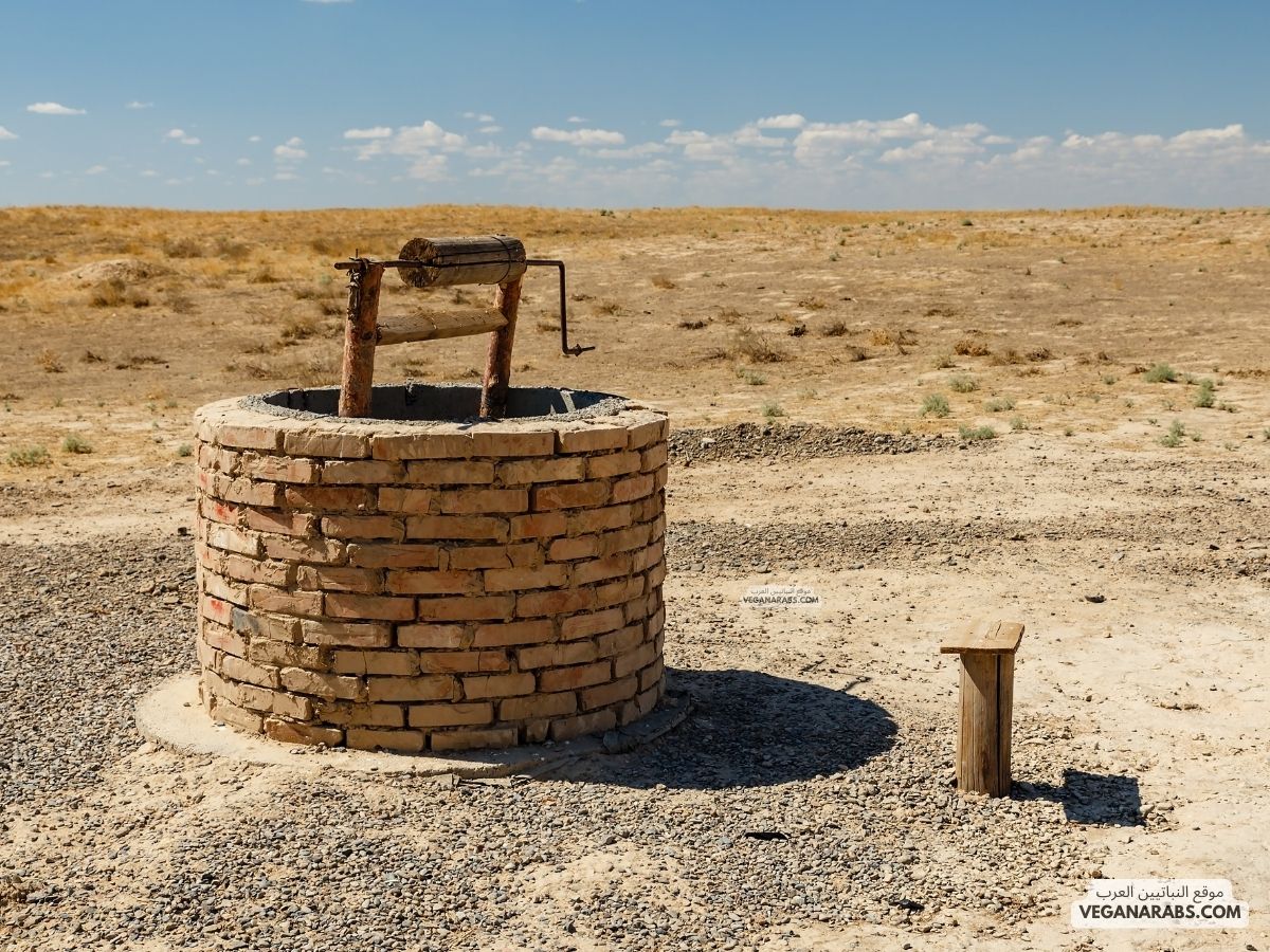 الصدقة الجارية للميت