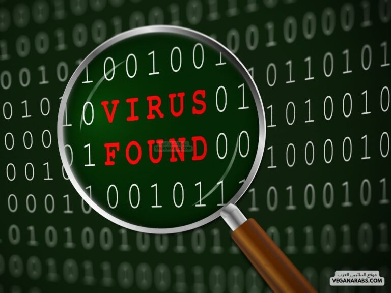  أنواع الفيروسات في الحاسوب
