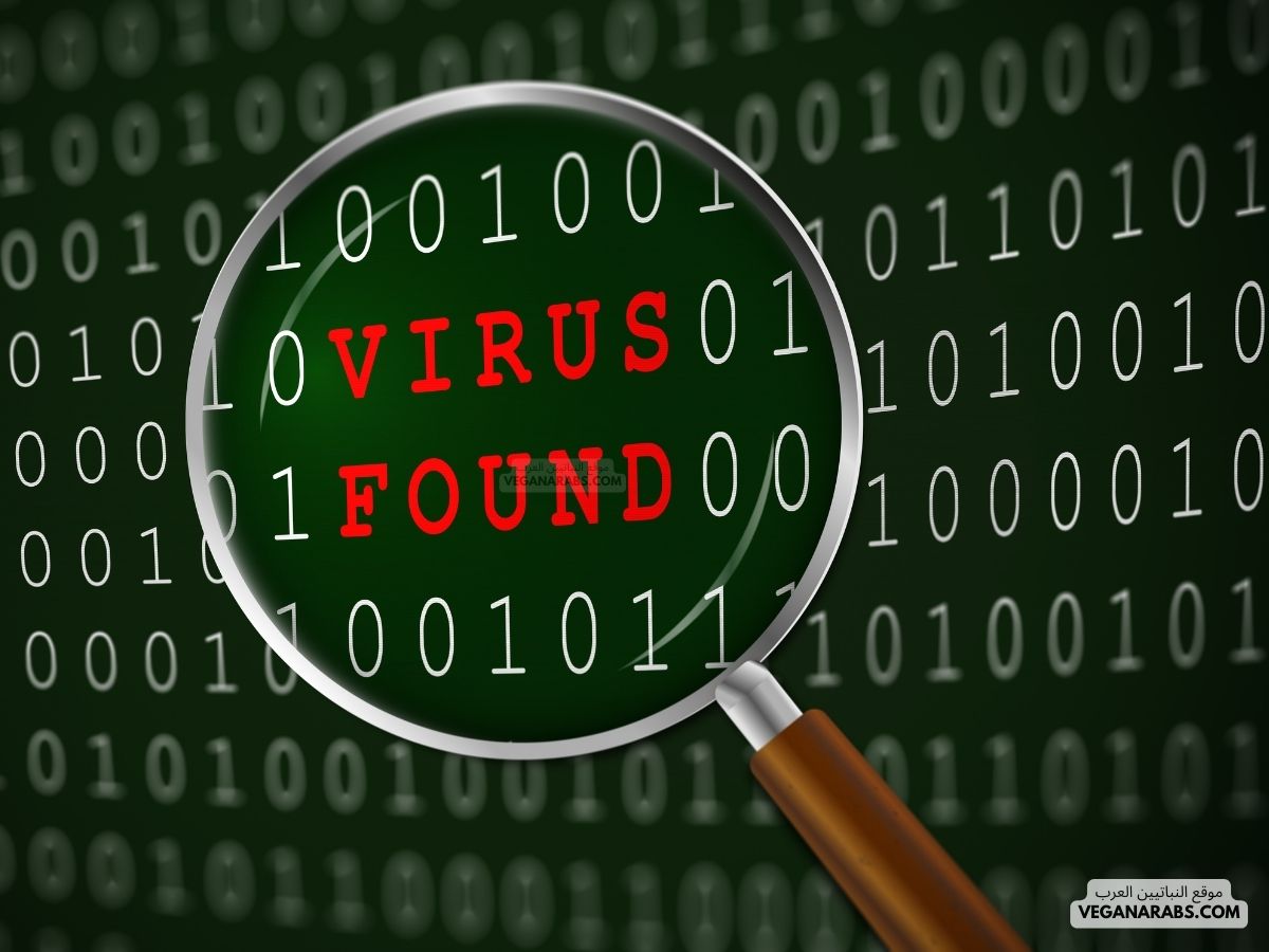  أنواع الفيروسات في الحاسوب