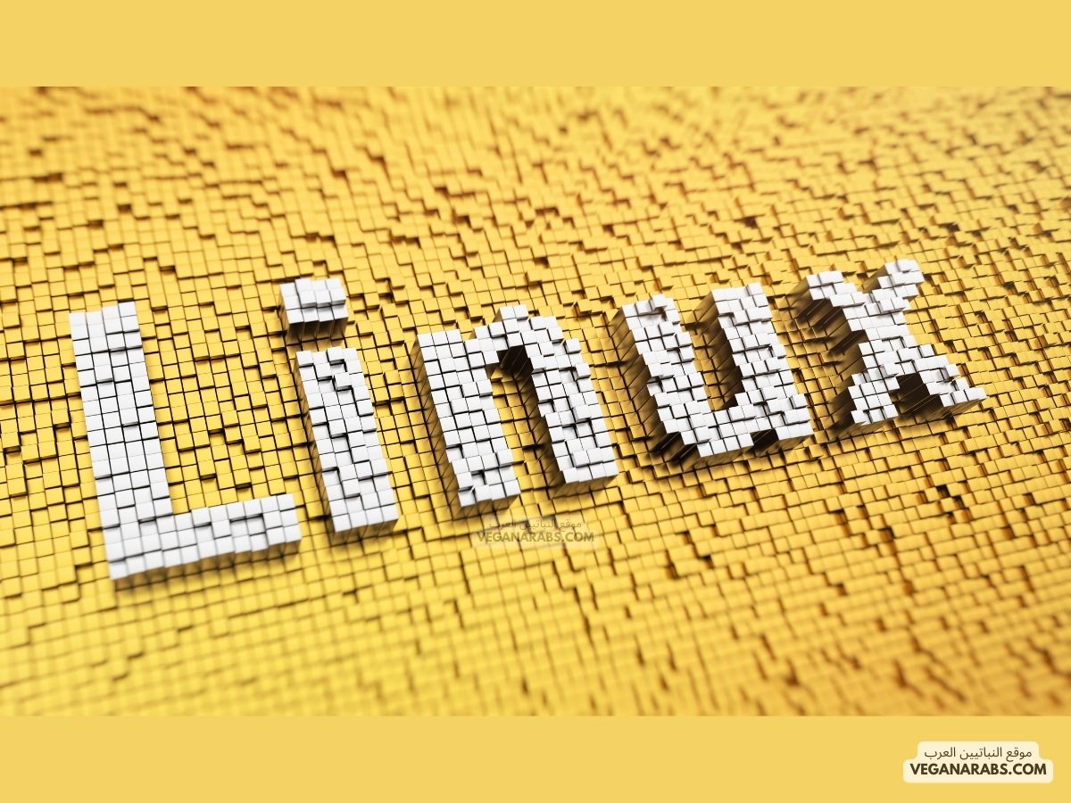 نظام لينوكس