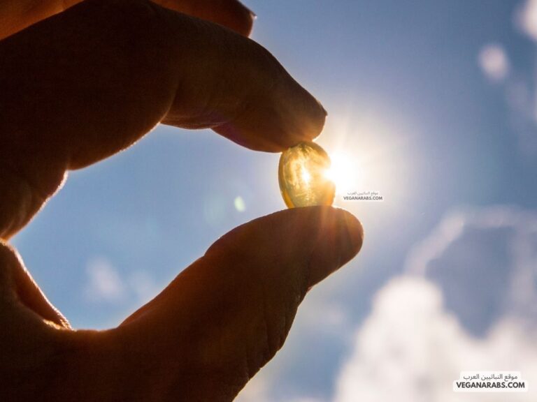 هل فيتامين دال يزيد الوزن