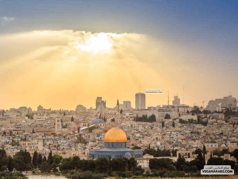 هل تحرير فلسطين من علامات الساعة ابن باز