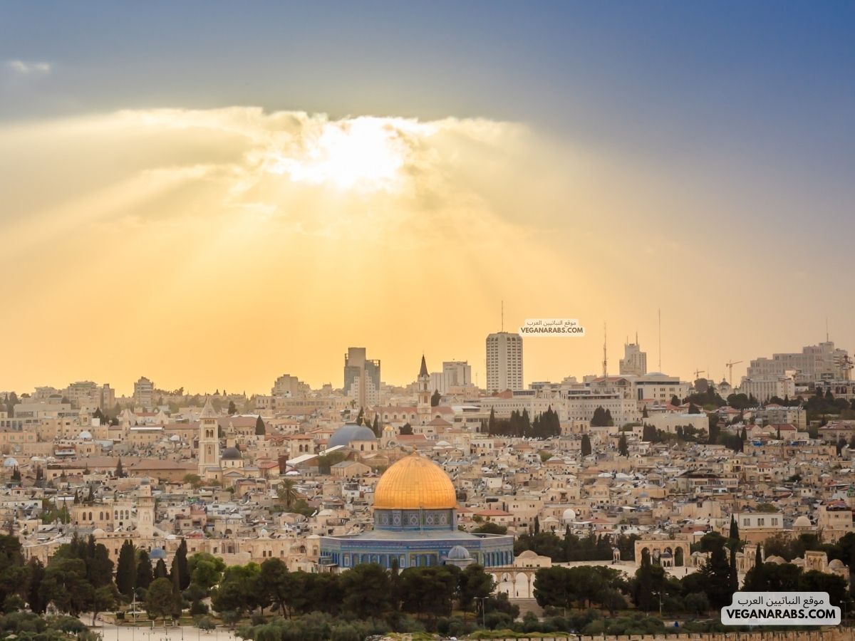 هل تحرير فلسطين من علامات الساعة ابن باز