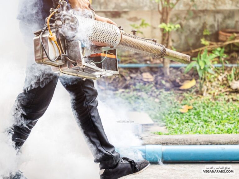 كيف يمكن مكافحة الحشرات، والآفات دون استخدام المواد الكيميائية الملوثة للتربة :