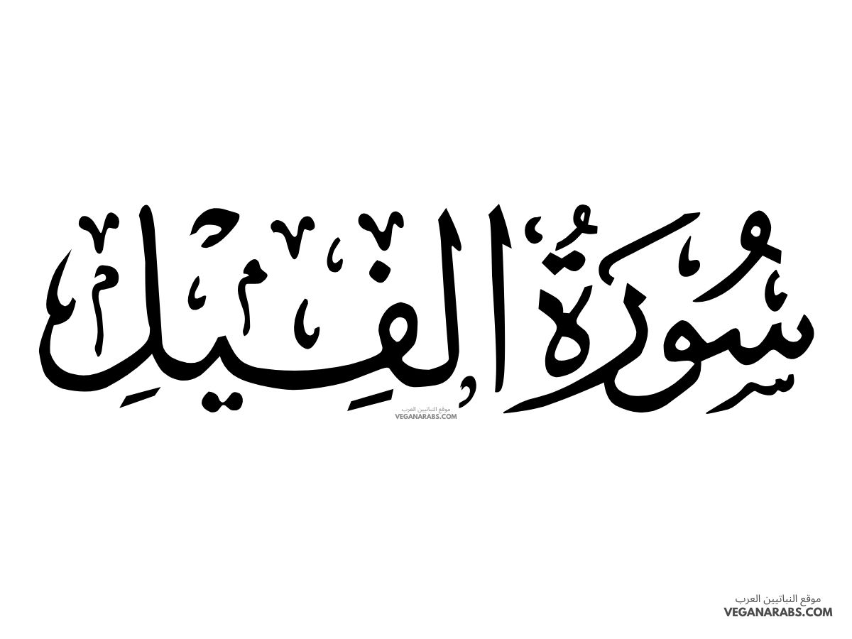 أحكام التجويد في سورة الفيل