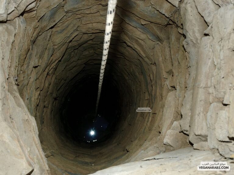 حفر آبار المياه للمحتاجين من الصدقة الجارية التي يستمر أجرها بعد الموت