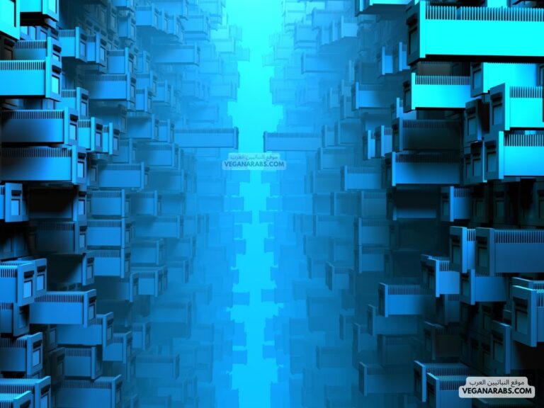 تعريف قواعد البيانات