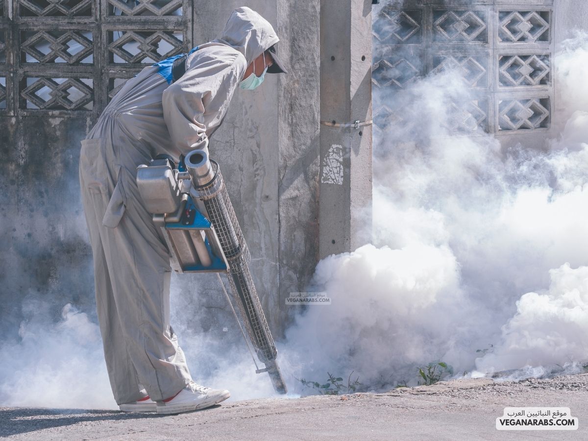 مكافحة الحشرات