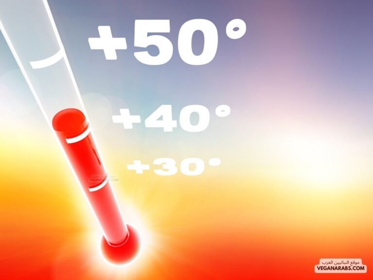 ارتفاع درجة حرارة الجسم بدون سبب