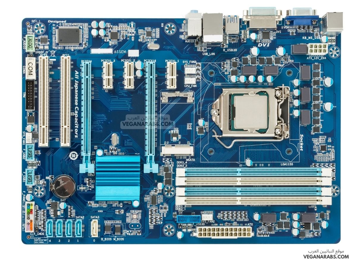  مكونات اللوحة الأم