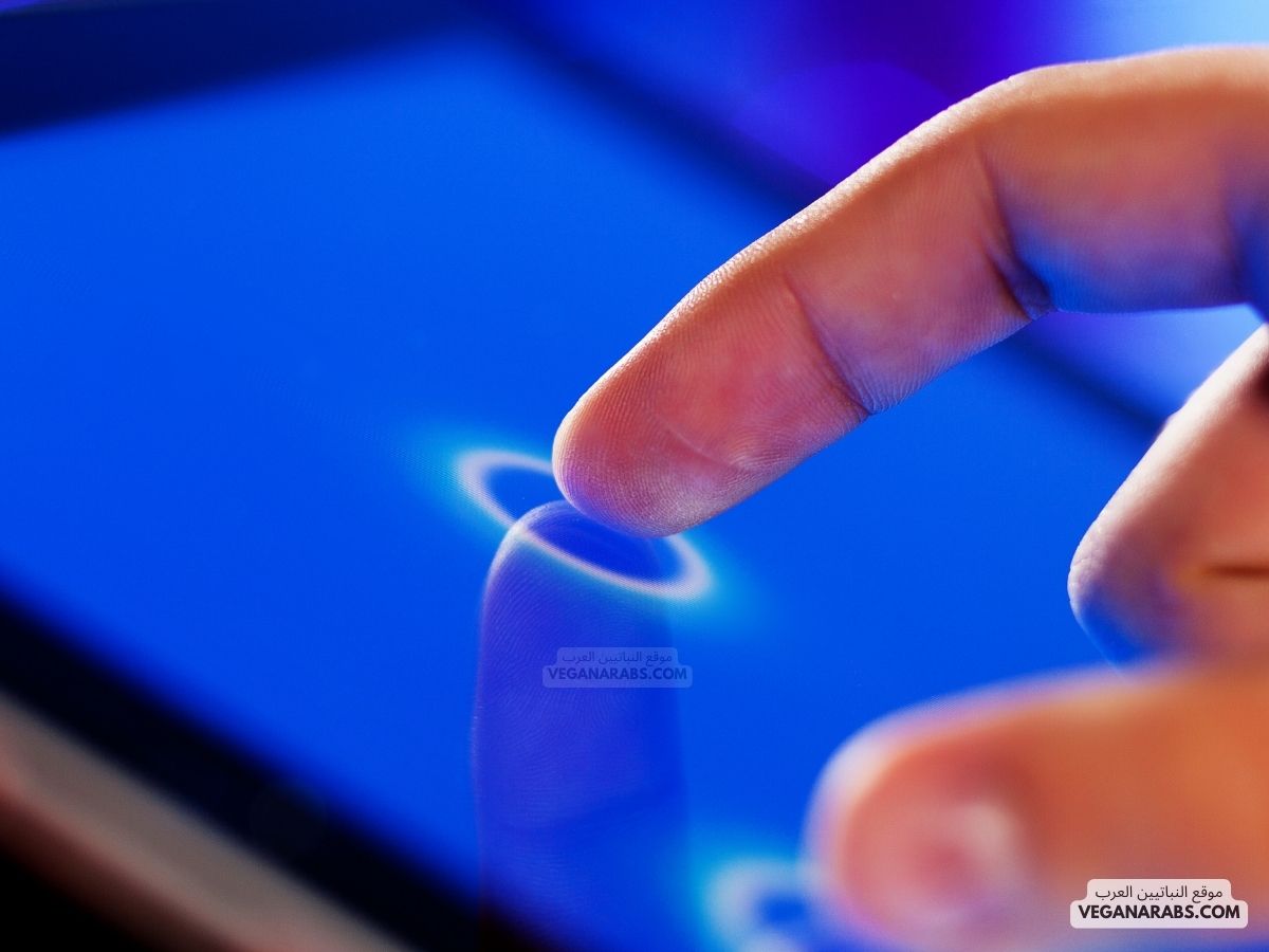 كيفية تعديل شاشة الكمبيوتر المقلوبة