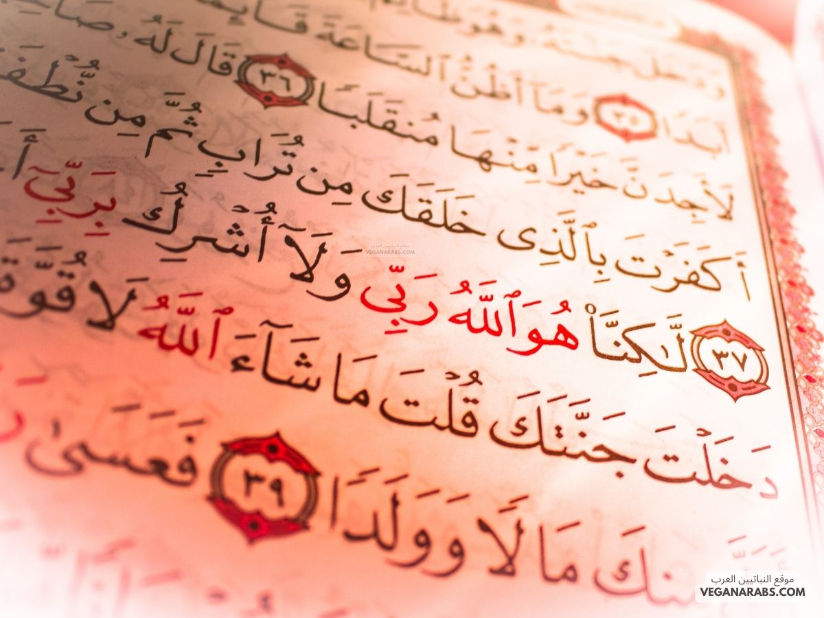 كم عدد احكام التجويد